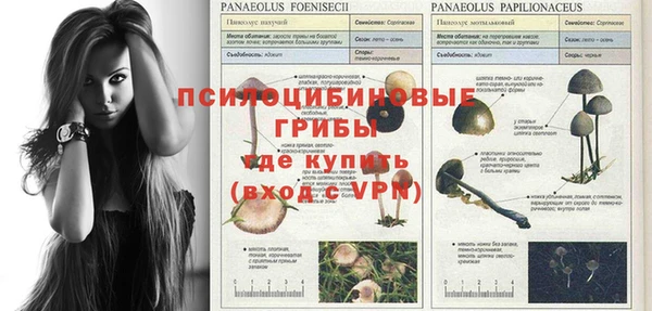 герыч Алексеевка